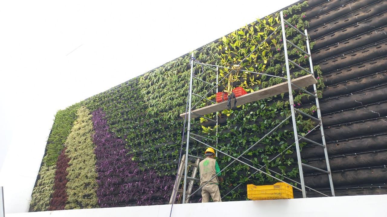 Proyecto Garden Site 8